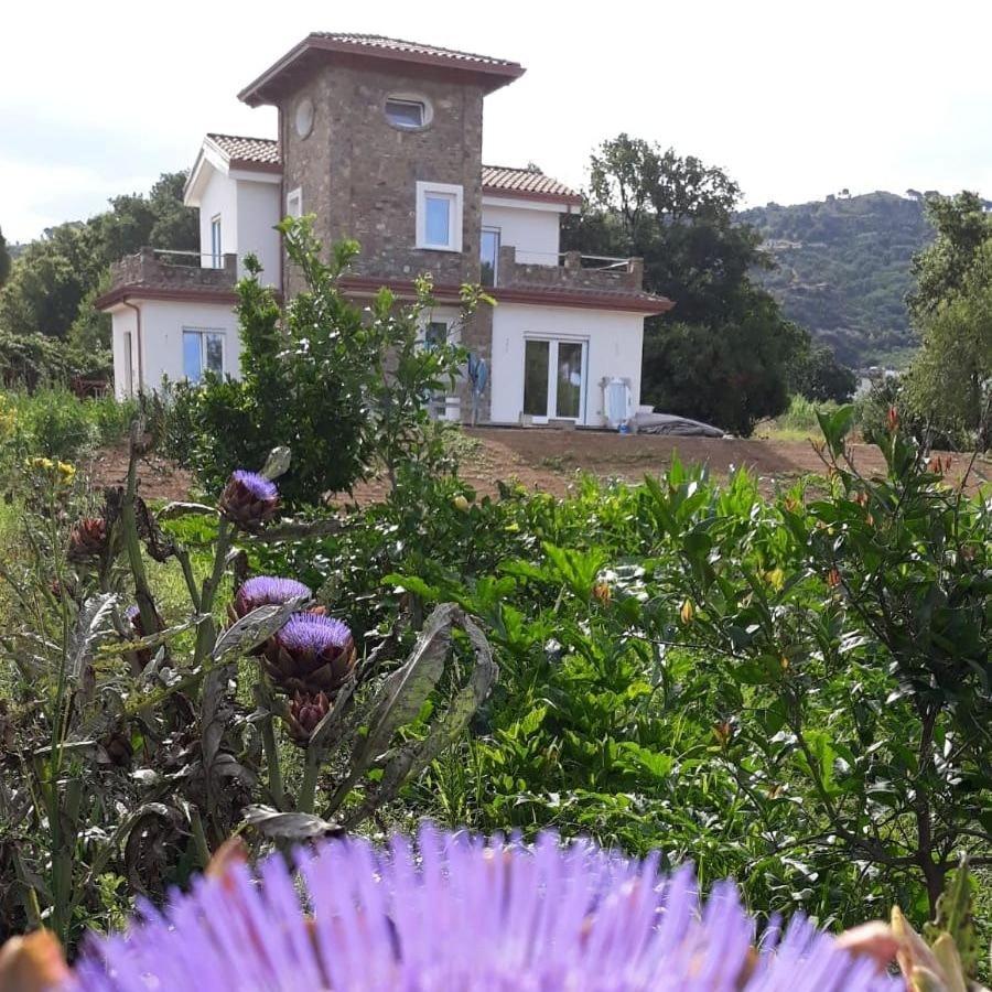 B&B Il Sogno Santa Maria di Castellabate Exterior foto