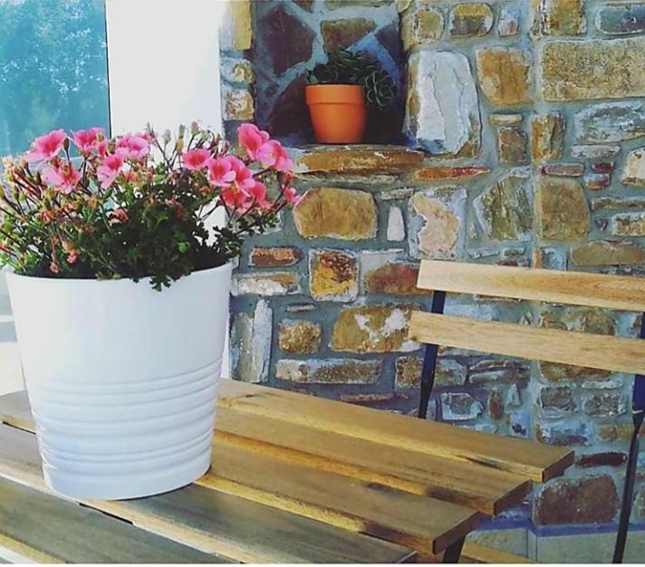 B&B Il Sogno Santa Maria di Castellabate Exterior foto