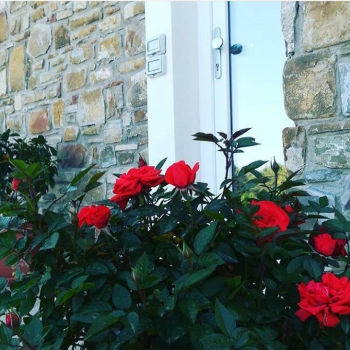 B&B Il Sogno Santa Maria di Castellabate Exterior foto
